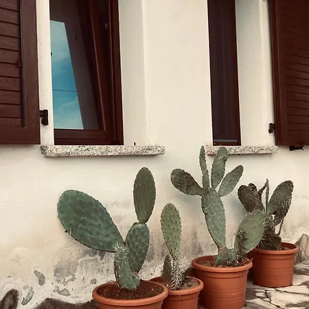 Domu In Su Satu Masainas